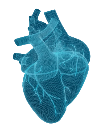 Beating Heart
